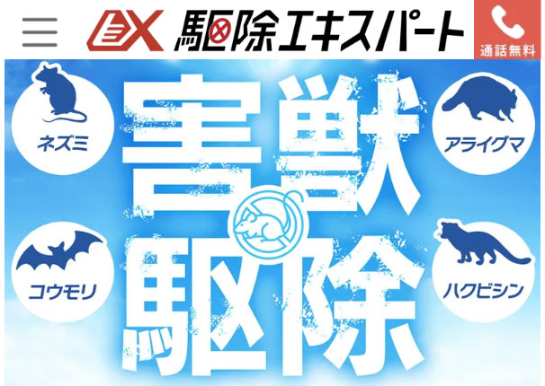 駆除エキスパート