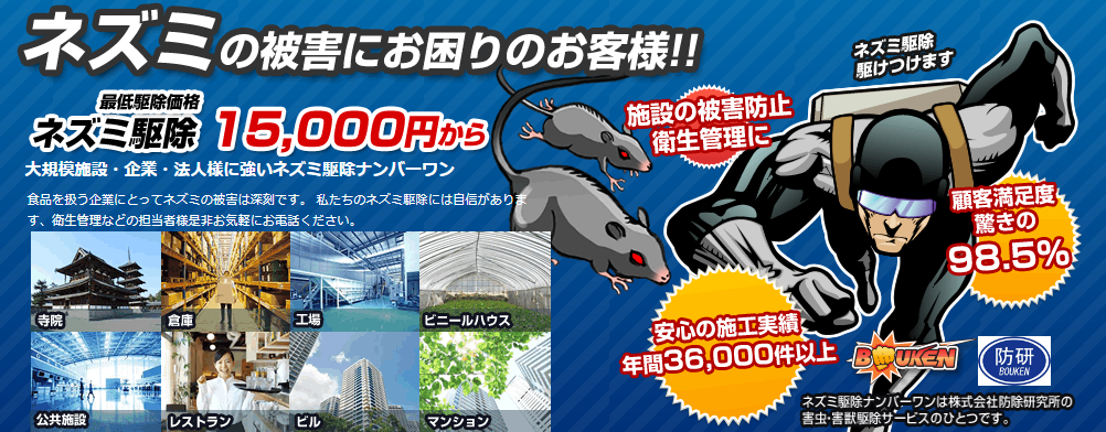 ネズミ駆除業者ナンバーワン（防除研究所）