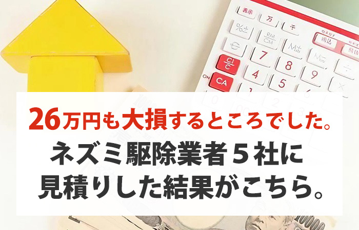 ネズミ駆除業者５社に見積りした結果がこちら。費用や評判だけで判断すると失敗して後悔することに。