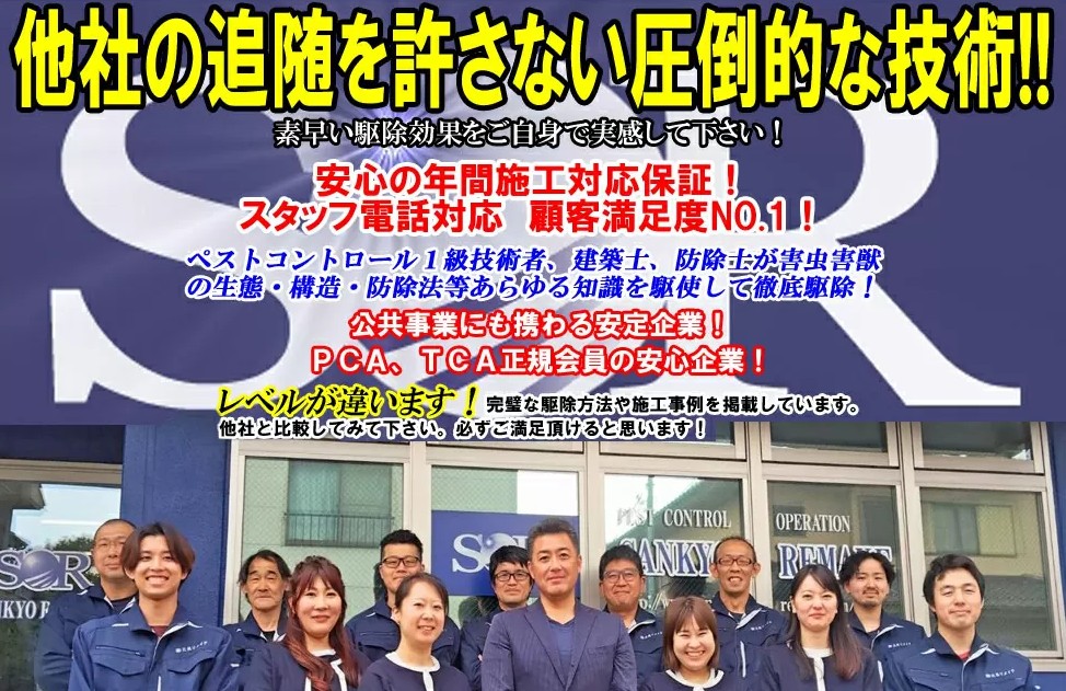 三共リメイク